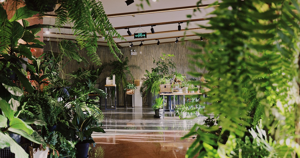 918博天堂奥莱·滇池小镇