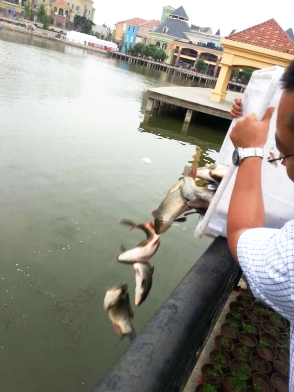 首页| 918博天堂中国官方网站