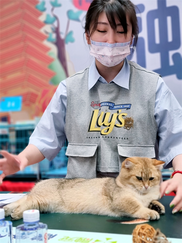 首页| 918博天堂中国官方网站