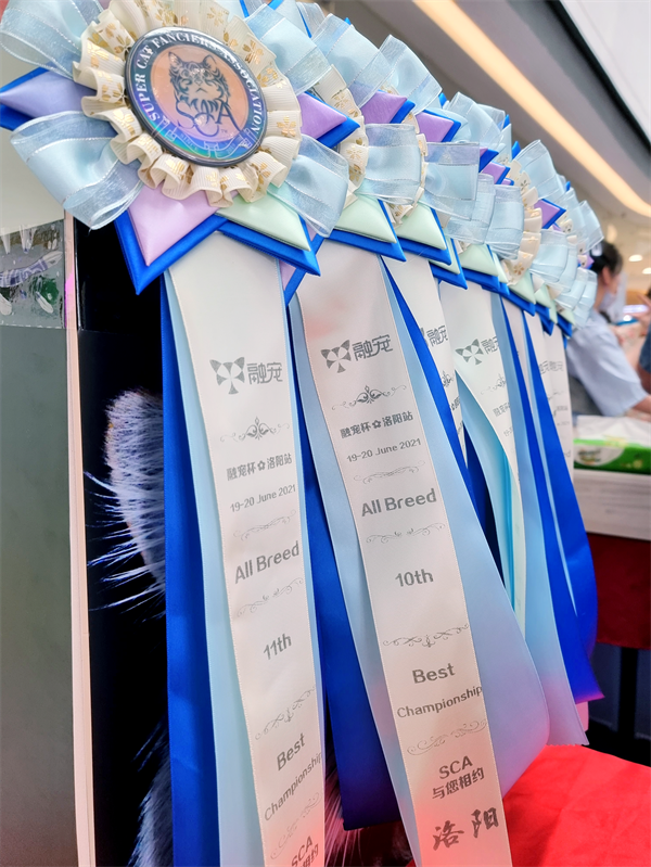 首页| 918博天堂中国官方网站