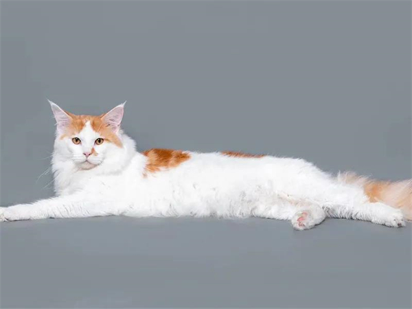 首页| 918博天堂中国官方网站