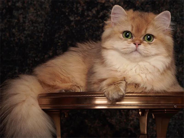 首页| 918博天堂中国官方网站