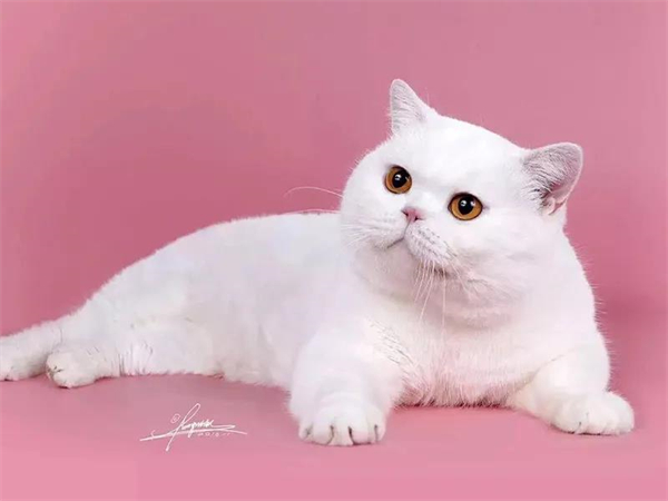 首页| 918博天堂中国官方网站