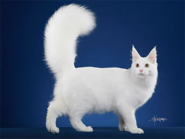 首页| 918博天堂中国官方网站