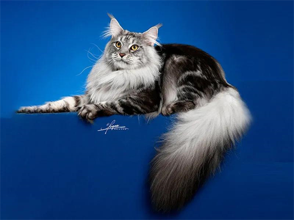 首页| 918博天堂中国官方网站