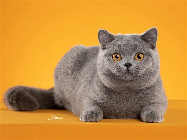 首页| 918博天堂中国官方网站