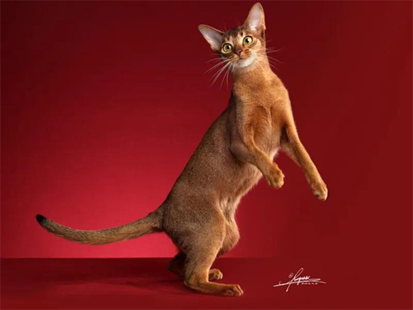 首页| 918博天堂中国官方网站