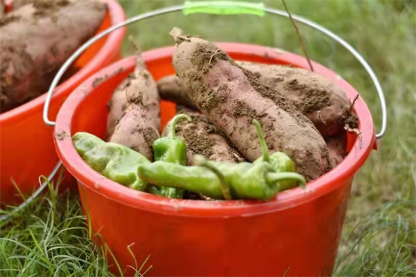 首页| 918博天堂中国官方网站