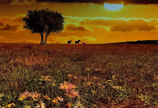 首页| 918博天堂中国官方网站