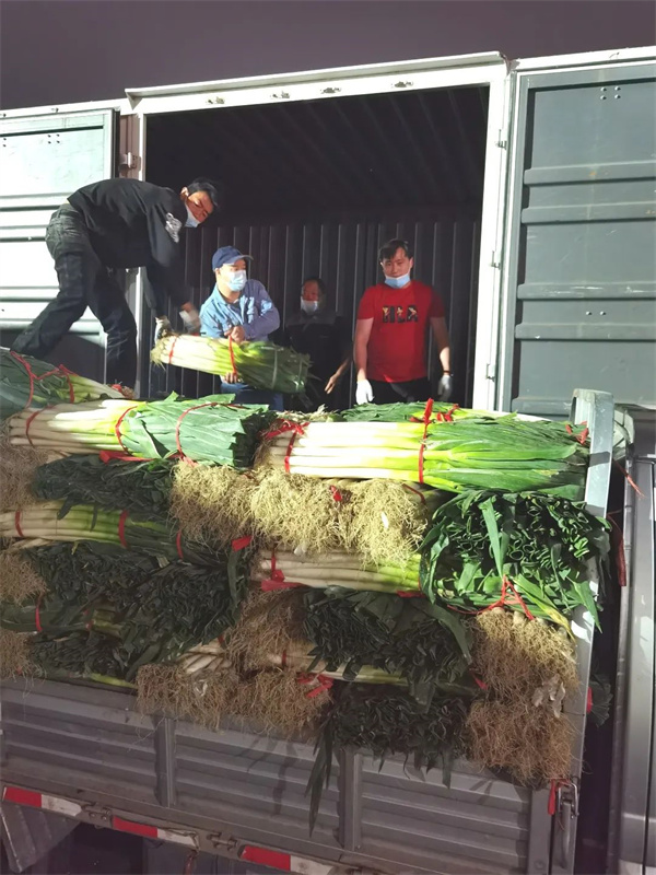 首页| 918博天堂中国官方网站