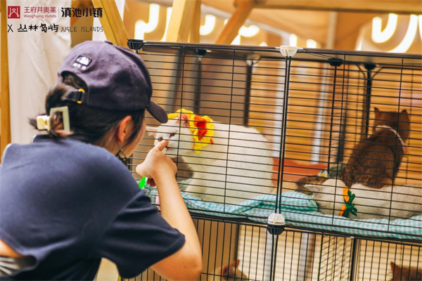 首页| 918博天堂中国官方网站